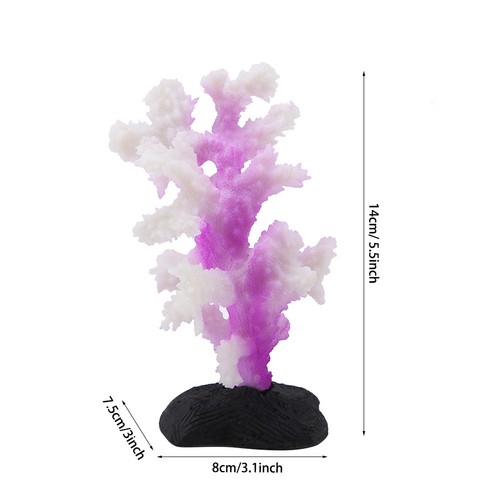 Luminous coral anemone - coral,