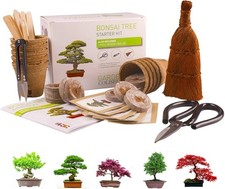 Bonsai Tree KIT - Grow 5 of