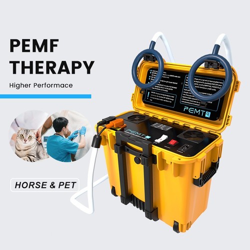 Horse pmst loop - horse, magnetic