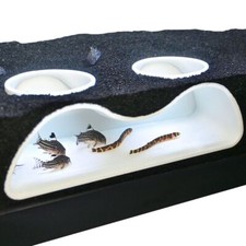Multifunctional aquarium - multifunctional,