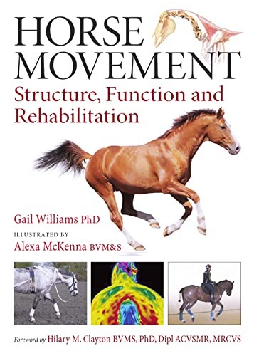 Horse movement structure - horse,
