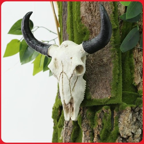 Bull horns wall head - bull, mount