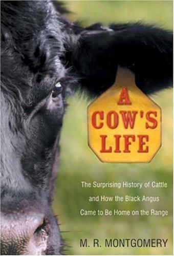 Cow life the - cow's,