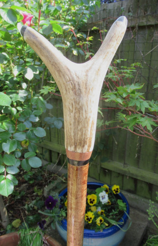 Hand crafted hazel - hand,