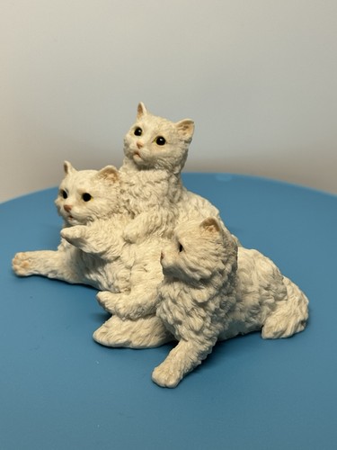 Vintage castagna white - castagna, kittens