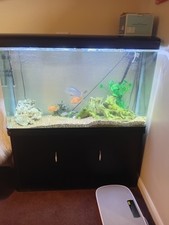 Large Fish Tank Aquarium