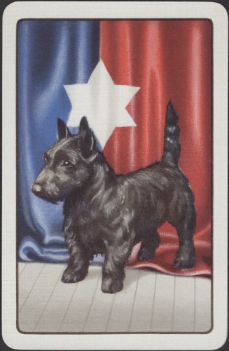 Playing cards single - cards, old
