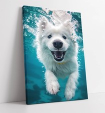 CUTE SMILING SAMOYED DOG