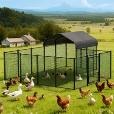 Large semi open chicken coop - large,