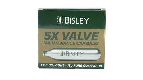 Bisley co2 valve maintenance - co2,