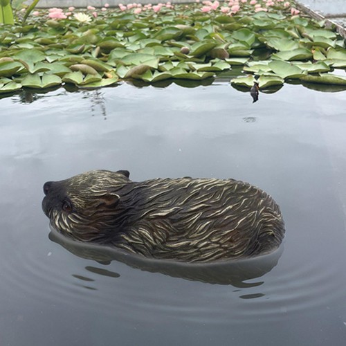 Pool float beaver - pool,