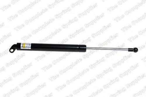 Rear boot cargo gas - rear,
