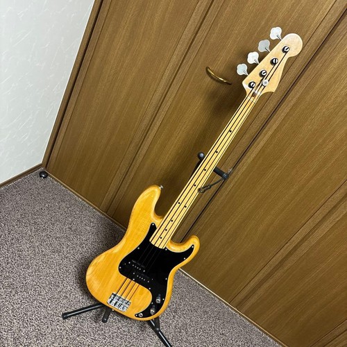 Fernandes fretless power - fretless,