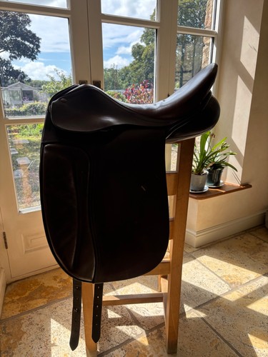 Collegiate dressage saddle - collegiate,