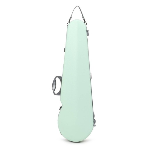 Safeguarding violin case - violin,