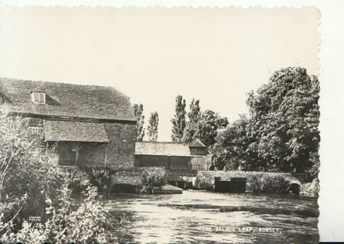 Hampshire postcard the - -,