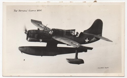 Navy postcard seagull - u.s,