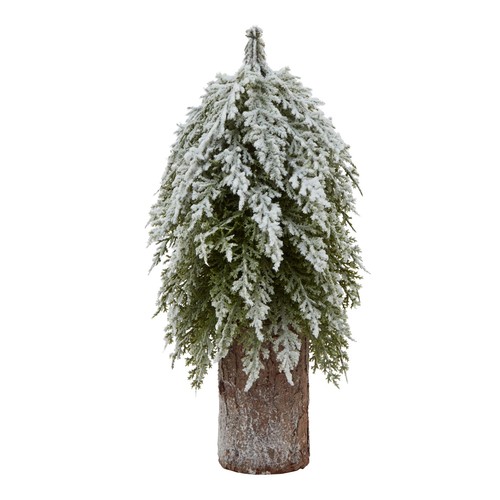 Brown small snowy - snowy, tree