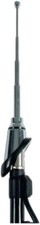 Beetle Aerial Chrome top and