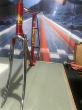 Rauler Special Limited Edition