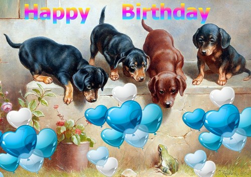 Happy birthday dachshund - birthday,