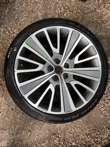 Genuine jaguar - genuine,