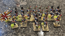 Warlord Games Spanish  Napoleonic Penisular War Infantry - Hand Painted