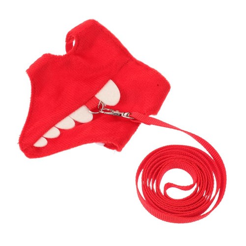 Pet outing leash - outing, set