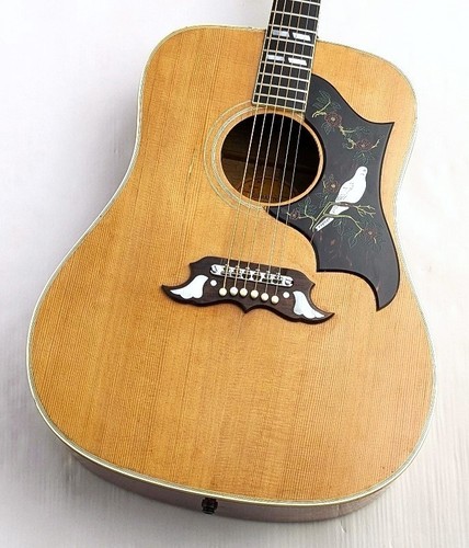 Gibson dove tune - gibson, 1965