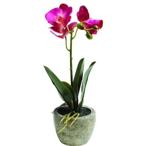 Artificial plant for - artificial,
