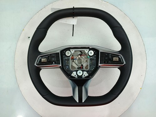 Multifunctional steering - mg,