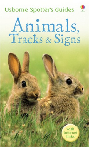 Usborne spotter guides - usborne, spotter's