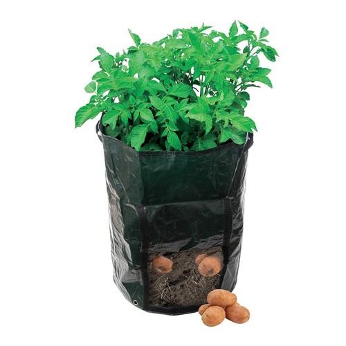 Silverline potato grow bag - grow,