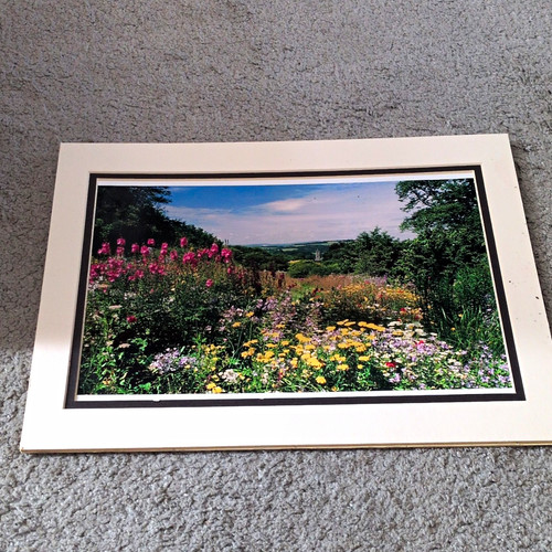 Nature floral landscape - nature,