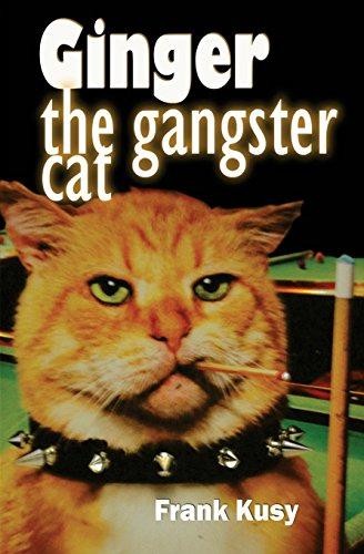 Ginger the gangster cat - ginger,