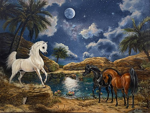 Limited edition arabian - edition, horse