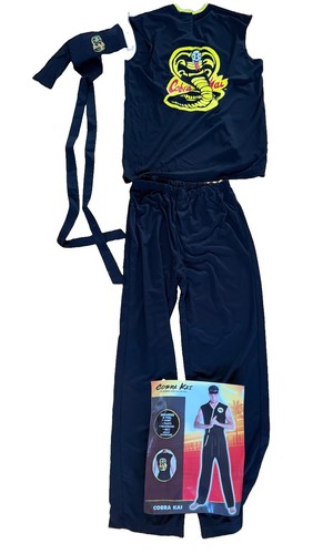 Cobra kai karate kid - karate, costume