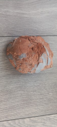 Hadrosaur dinosaur egg - dinosaur, egg.