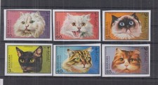 D627. Manama - MNH - Animals - Pets - Cats - Imperf.