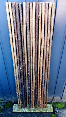 Hazel walking stick - stick, shanks