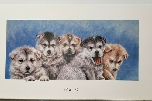 Pick judie ridout akita - me,