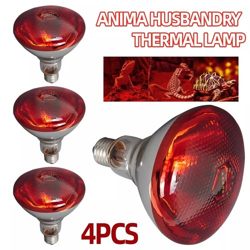 Infra red heat bulb lamp - infra,