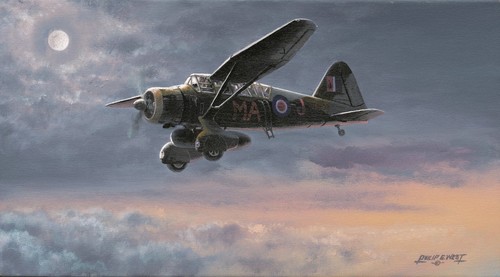 Limited aviation print they - print,