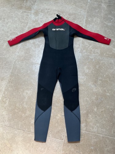 Childs youth animal wetsuit - childs,