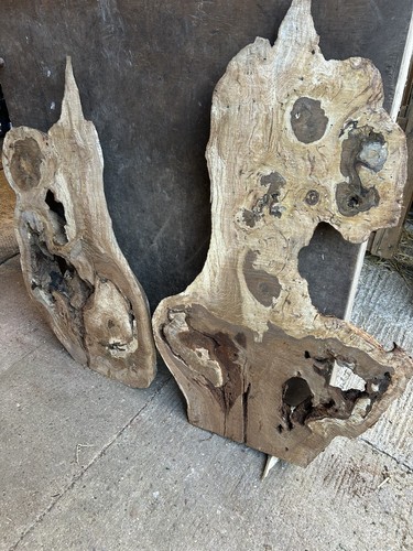 Unique roughsawn oak burl - roughsawn,