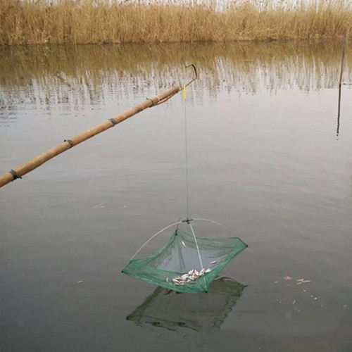 Folded fishing net shrimp - fishing,