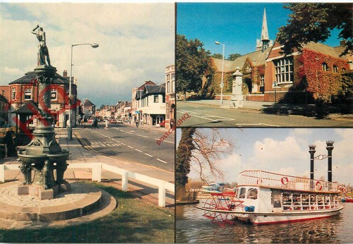 Postcard kettering horse - kettering,,