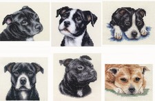 STAFFORDSHIRE BULL TERRIER