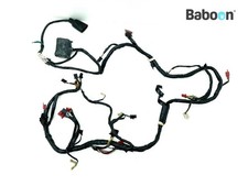 Wiring Harness (Main) Honda