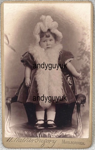 Cdv rare walker gregory - rare,
